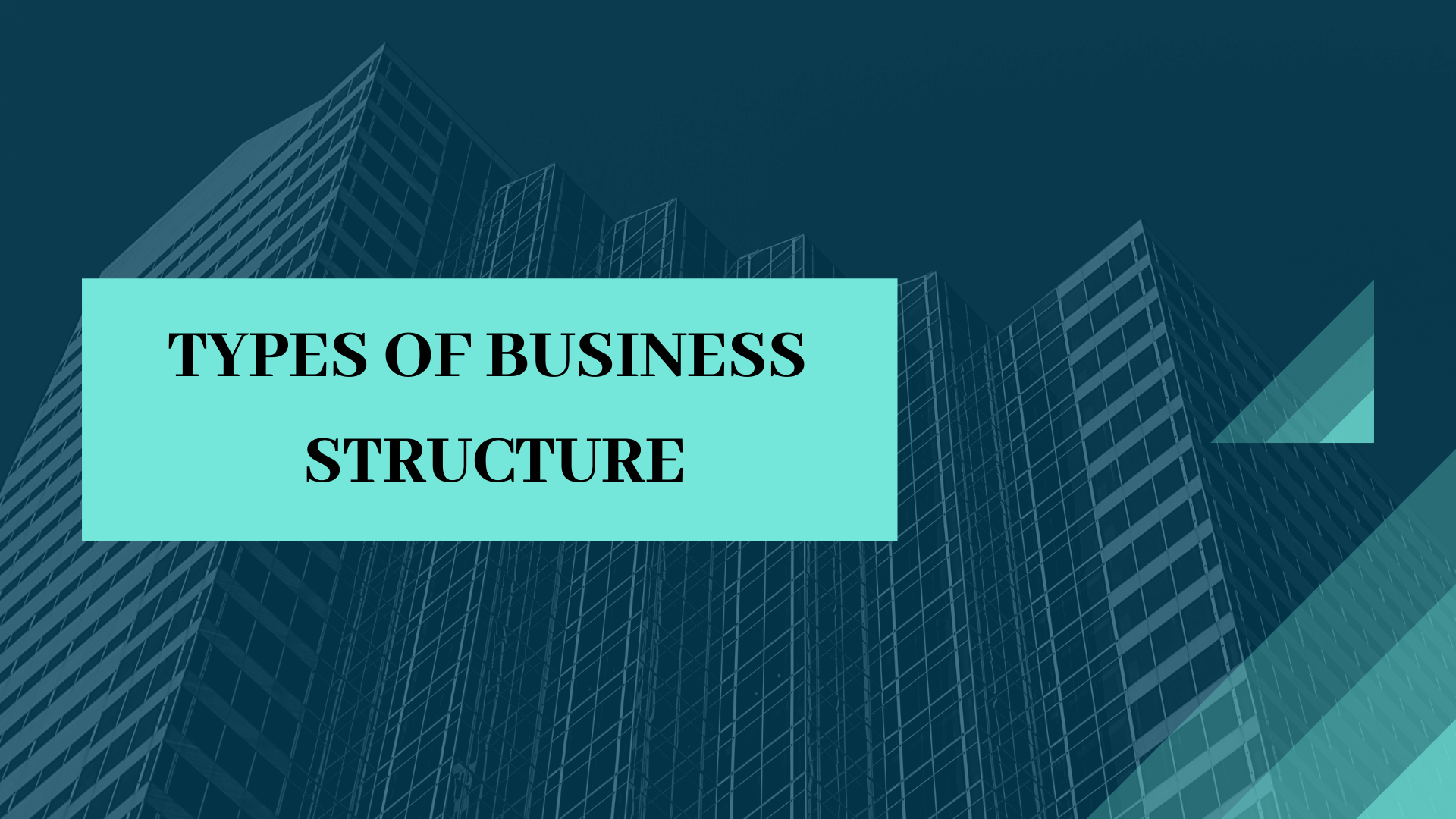 Types Of Business Structure 